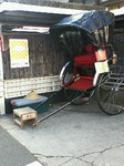 NEC_0551.jpg